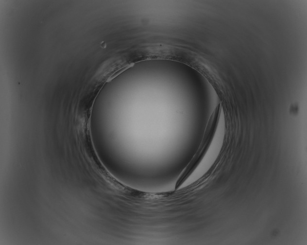 X0000090960333200708241158