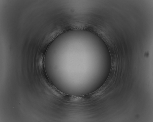 X0000090960334200708241158