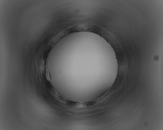 X0000090960335200708241158