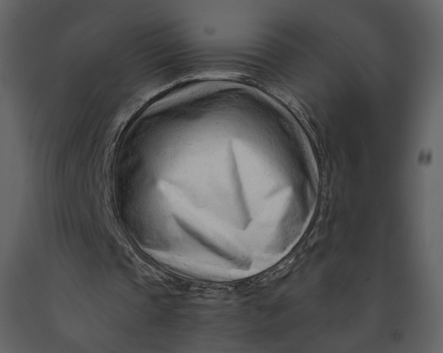 X0000090960337200708241158