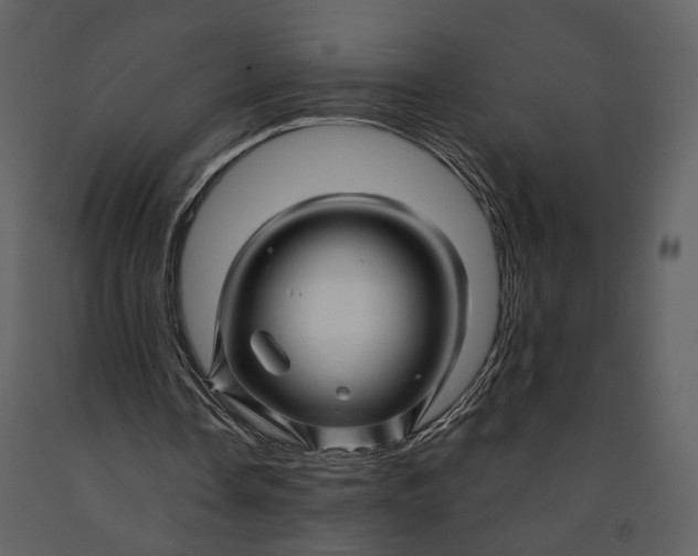 X0000090960338200708241158