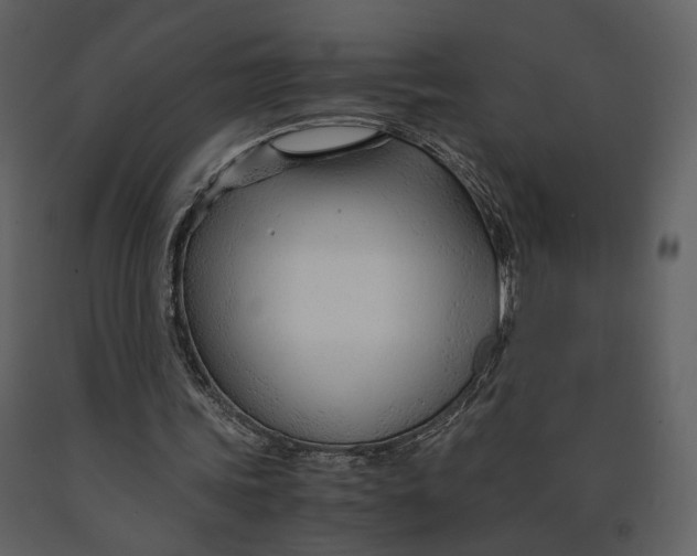 X0000090960339200708241158