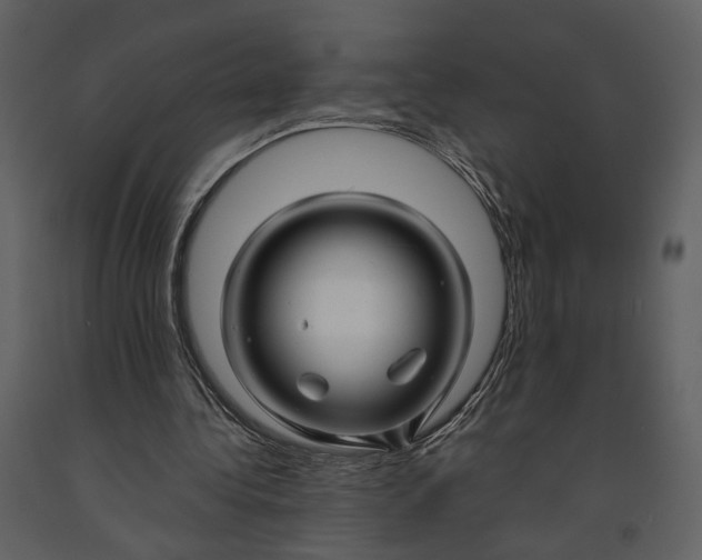 X0000090960340200708241158