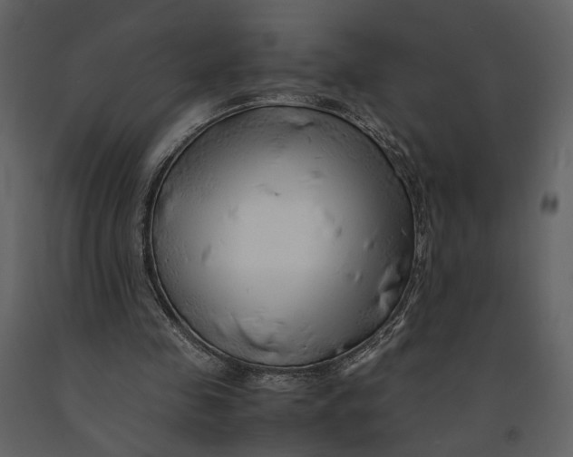 X0000090960341200708241158