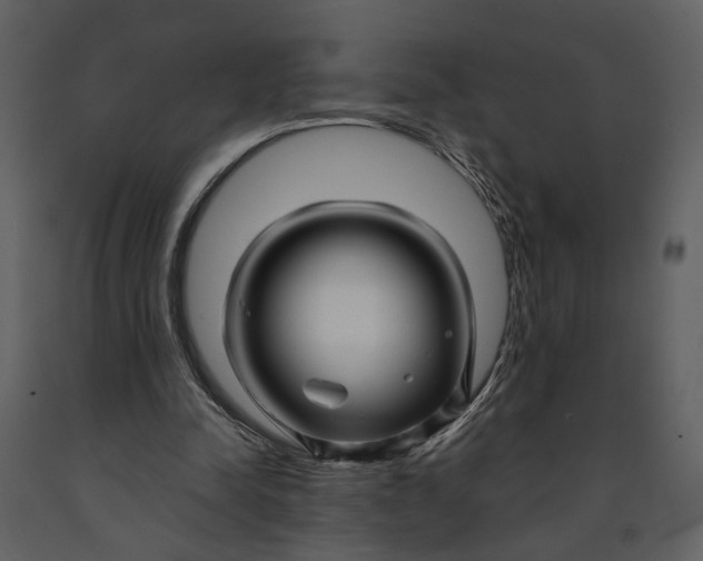 X0000090960342200708241158