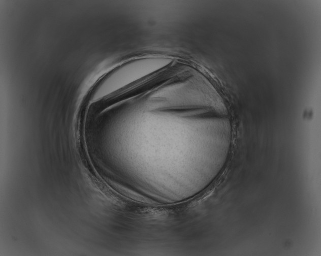 X0000090960343200708241158