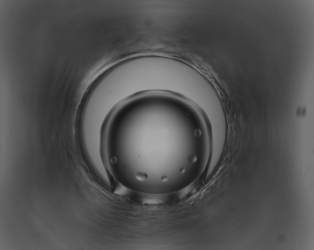 X0000090960344200708241158