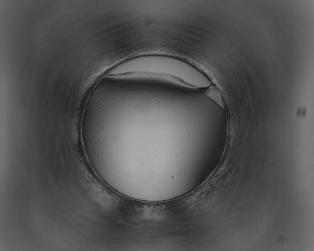 X0000090960345200708241158