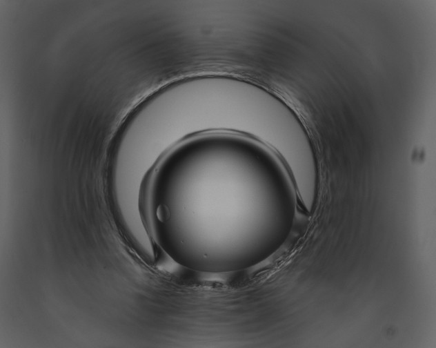 X0000090960346200708241158