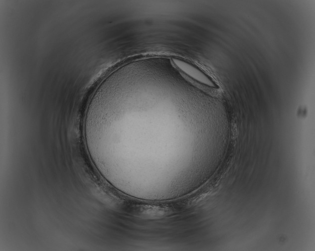 X0000090960347200708241158