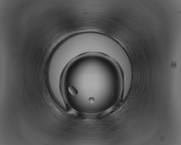 X0000090960350200708241158