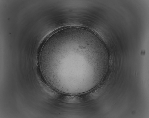 X0000090960351200708241158