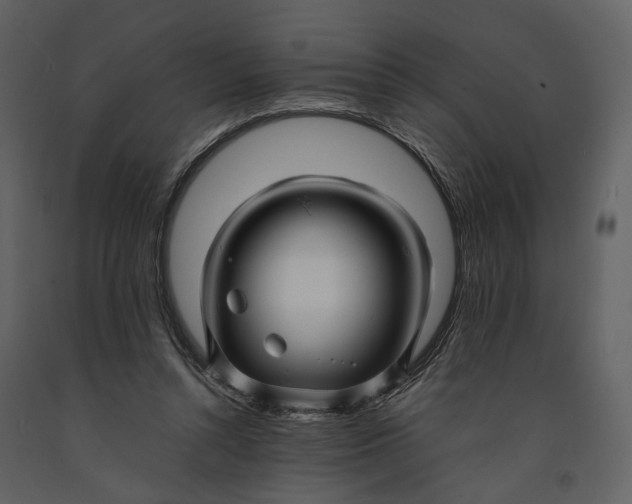 X0000090960352200708241158