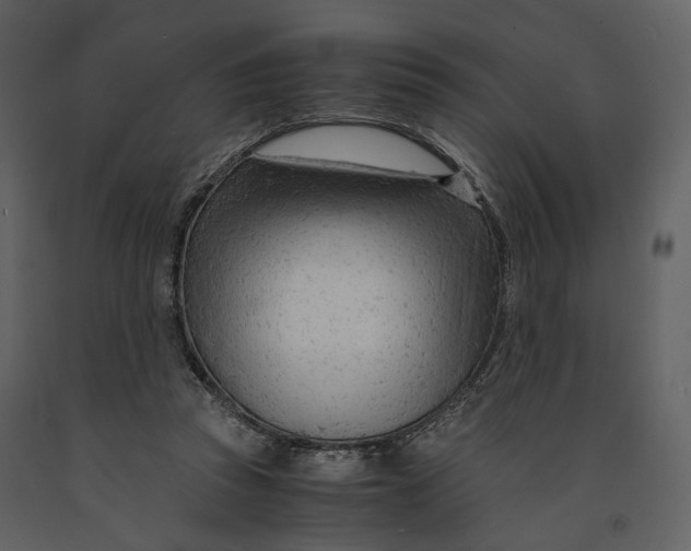 X0000090960353200708241158