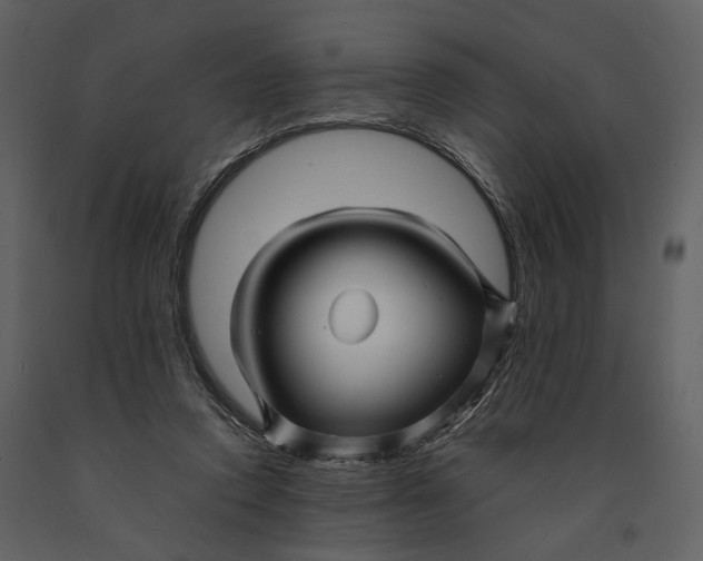 X0000090960354200708241158