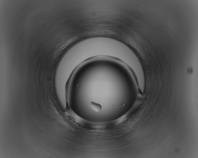 X0000090960356200708241158