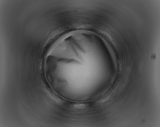 X0000090960357200708241158