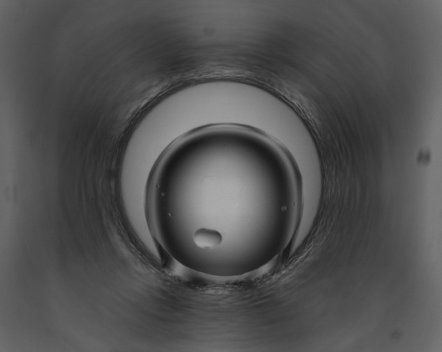 X0000090960358200708241158