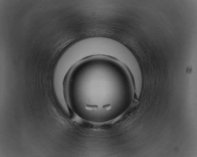 X0000090960360200708241158