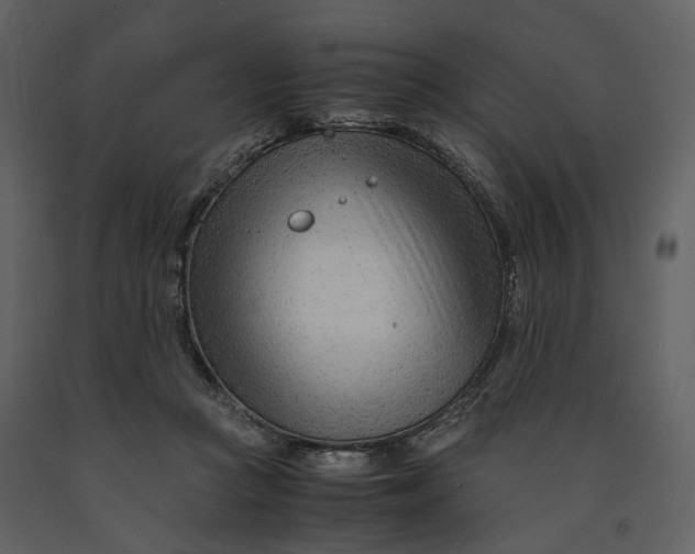 X0000090960361200708241158