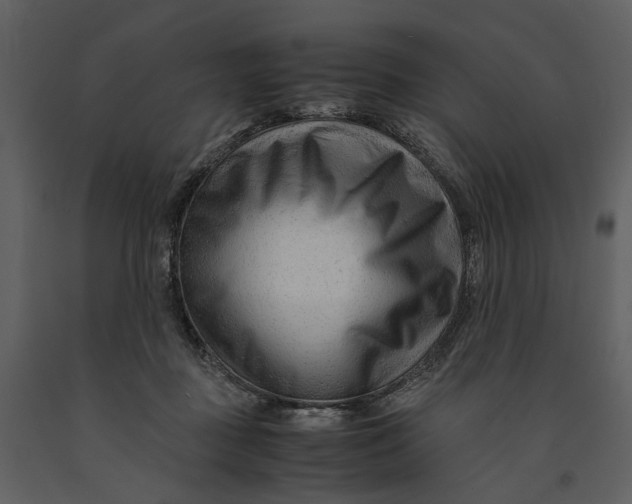 X0000090960363200708241158