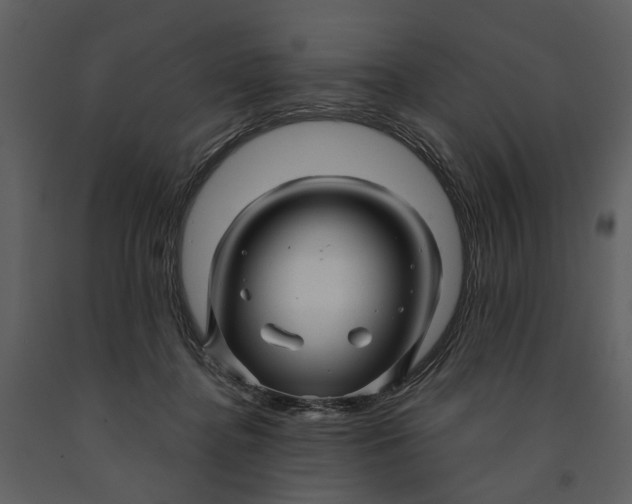 X0000090960364200708241158