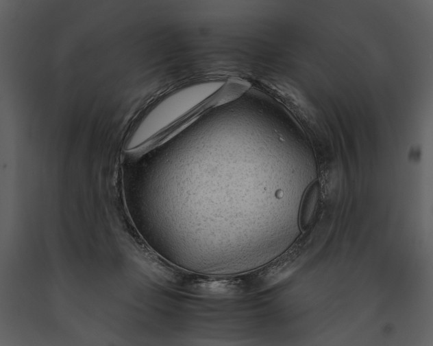 X0000090960365200708241158