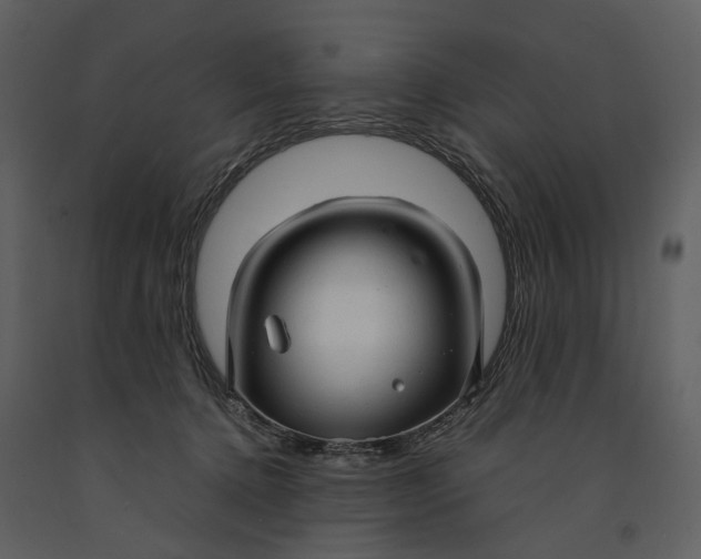 X0000090960368200708241158