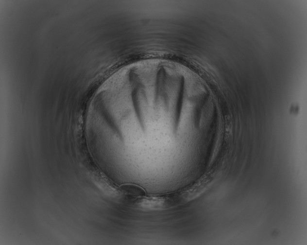 X0000090960369200708241158