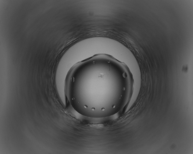 X0000090960374200708241158