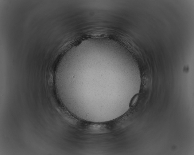 X0000090960375200708241158