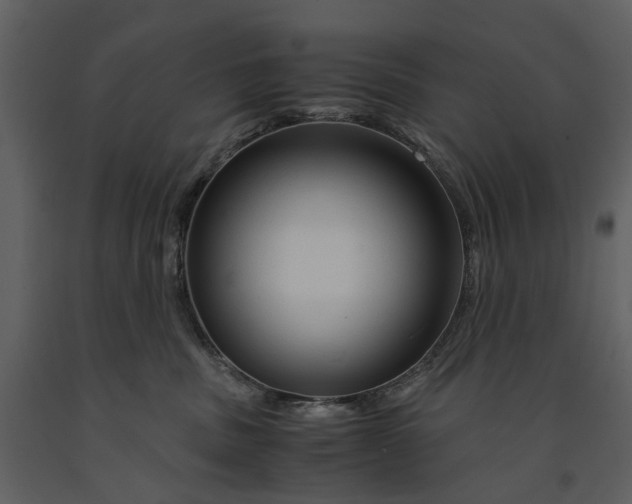 X0000090960379200708241158