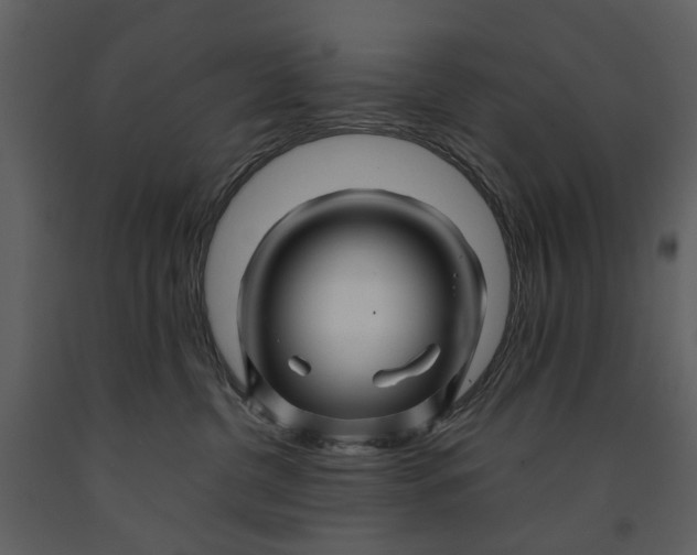 X0000090960380200708241158