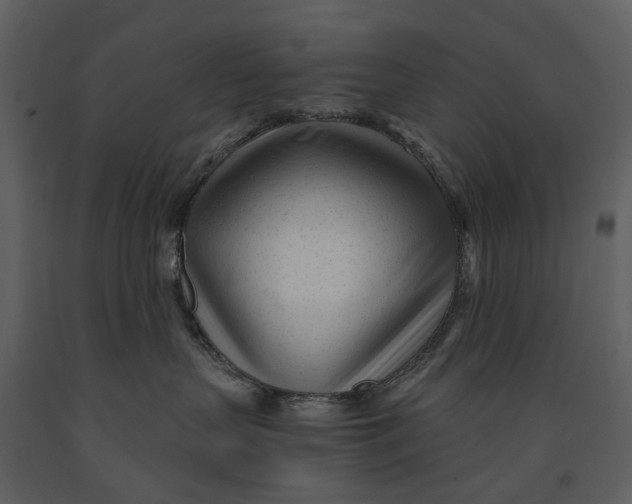 X0000090960383200708241158