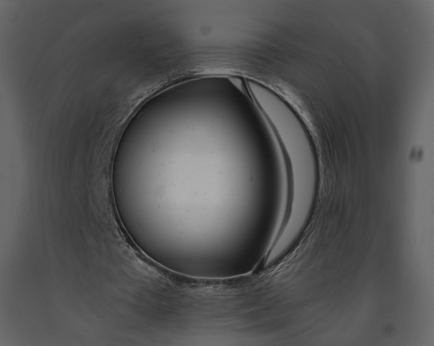 X0000090960385200708241158