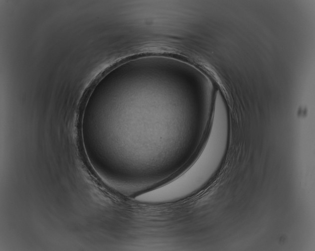 X0000090960387200708241158