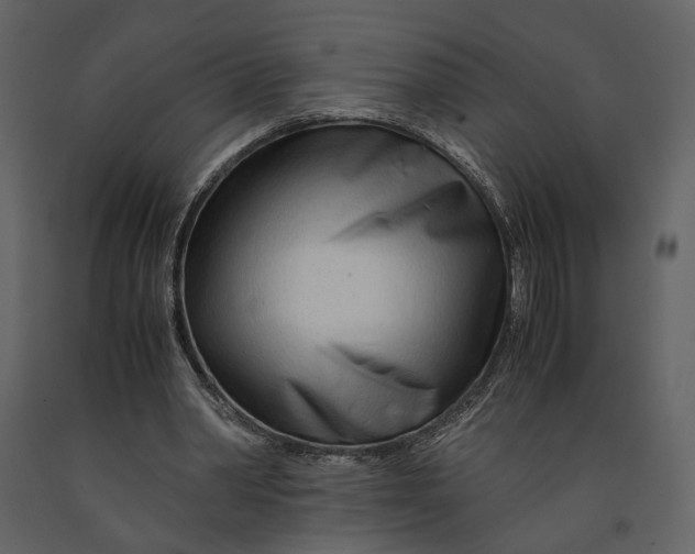 X0000090960390200708241157