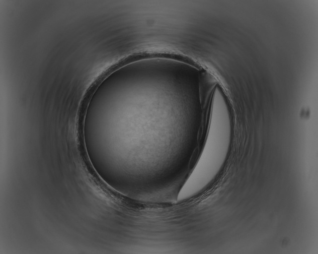 X0000090960391200708241157