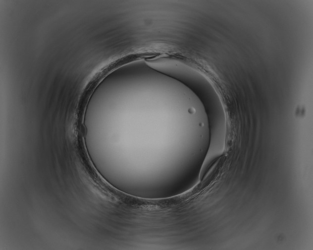 X0000090960392200708241157