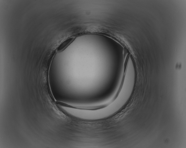 X0000090960393200708241157