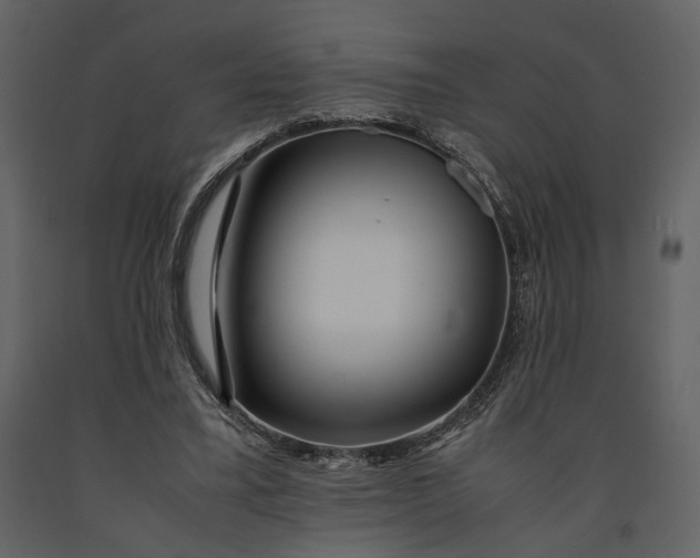 X0000090960395200708241157