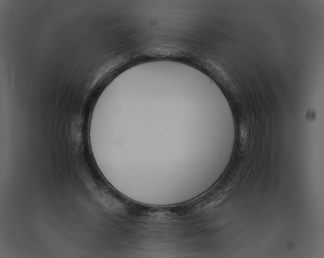 X0000090960396200708241157