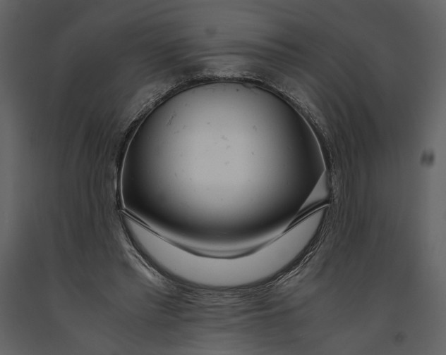 X0000090960397200708241157