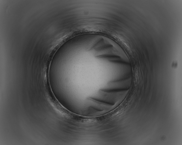 X0000090960398200708241157