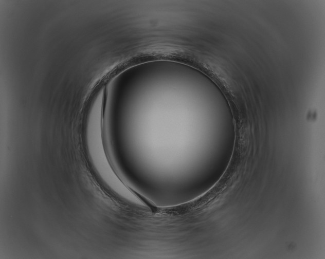 X0000090960399200708241157