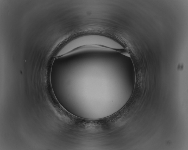 X0000090960400200708241157