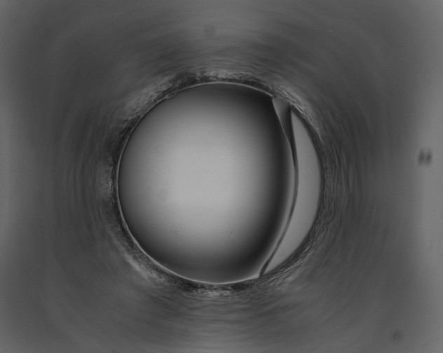 X0000090960401200708241157