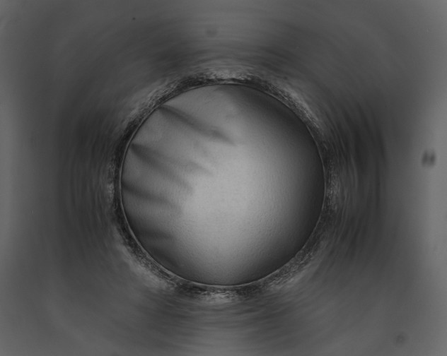 X0000090960402200708241157