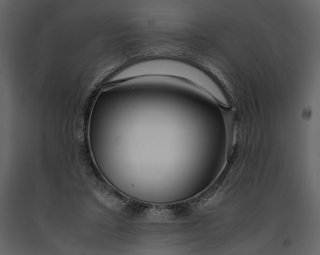 X0000090960403200708241157