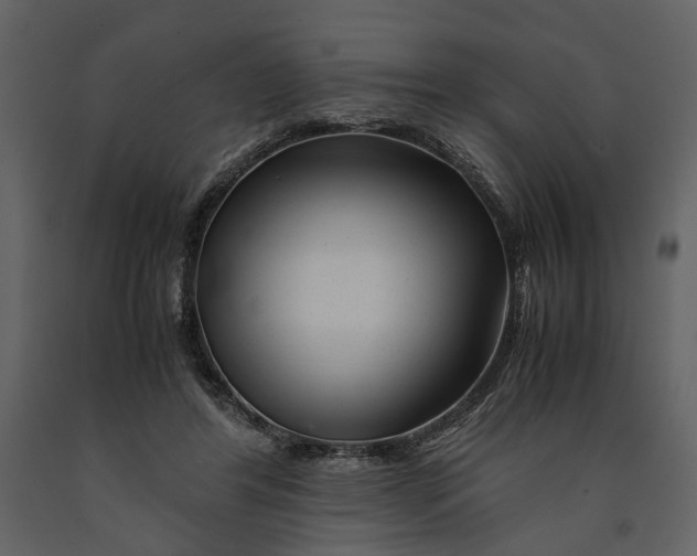 X0000090960404200708241157